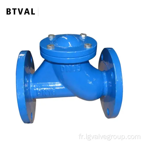 Valve de globe en fonte DN50 mm avec balle